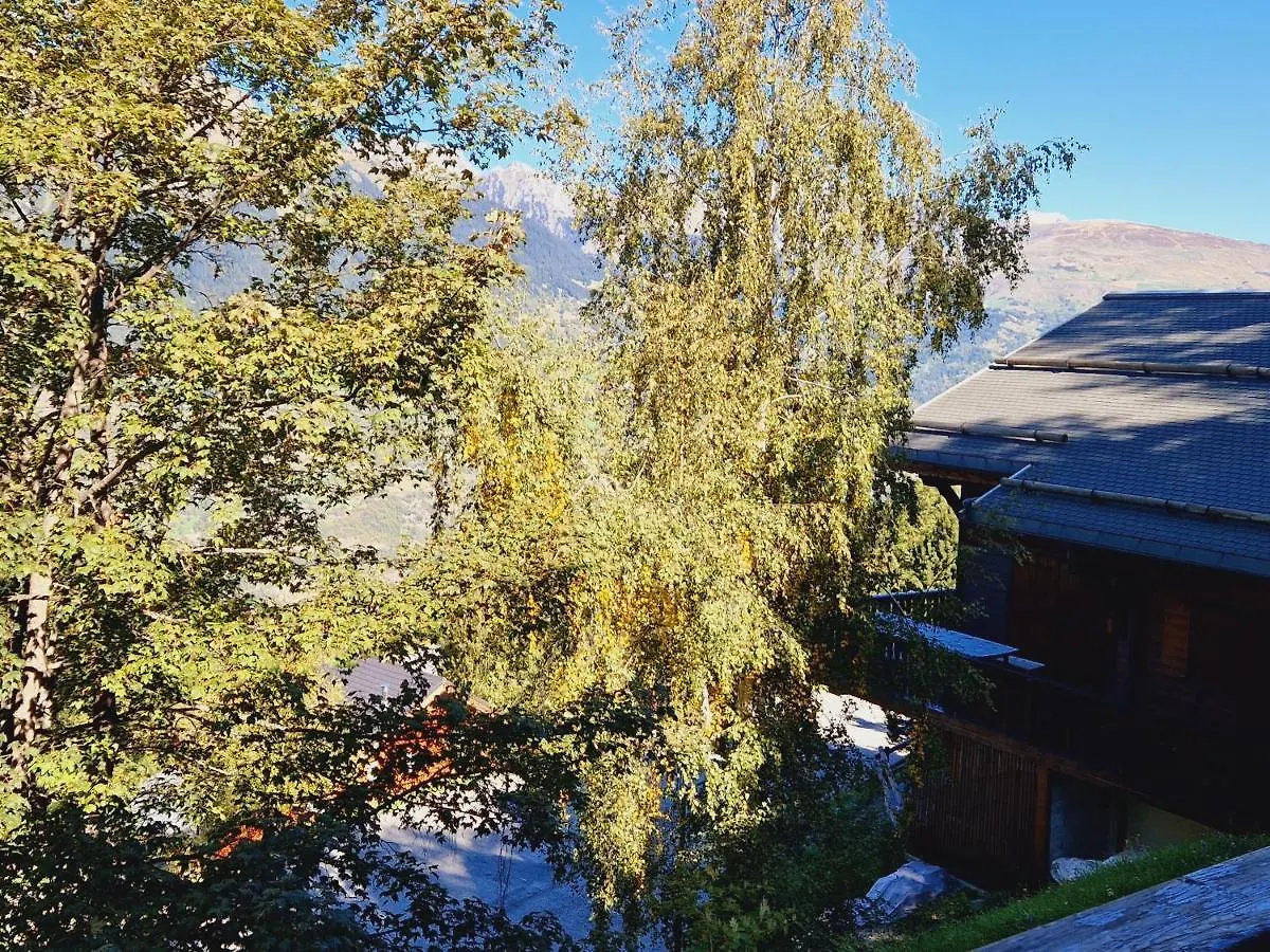 Chalet A Montalbert: 3 Chambres, Mezzanine, Cheminee, Cuisine Equipee, Parking - Fr-1-755-7 La Plagne